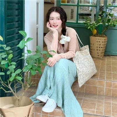 悍妻理论封面