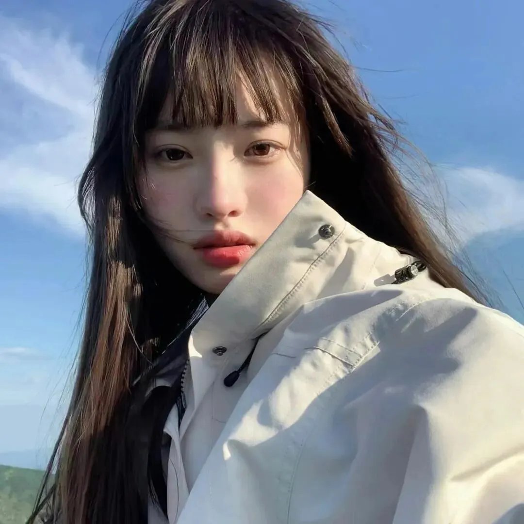 白龙马封面